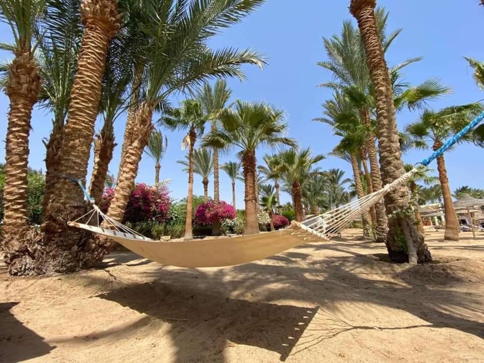 Brayka Bay Reef Resort Abu Dabbab Exterior photo