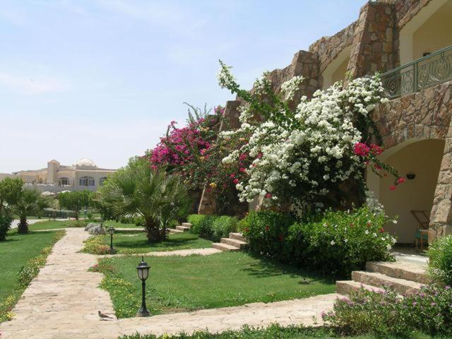 Brayka Bay Reef Resort Abu Dabbab Exterior photo